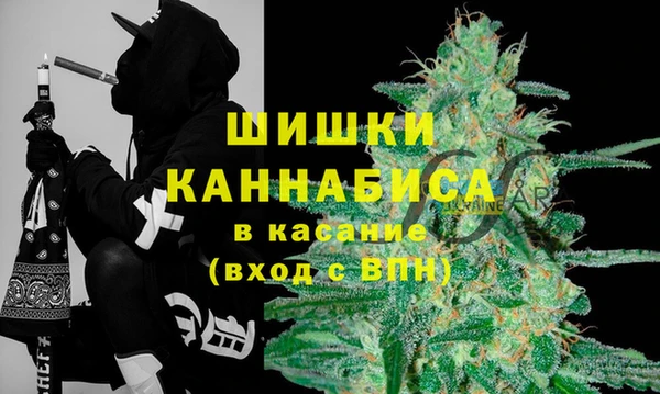 дмт Аркадак
