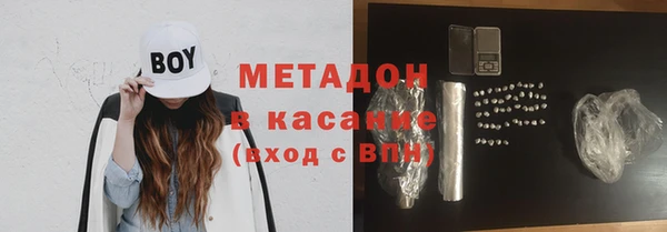 прущие грибы Нягань
