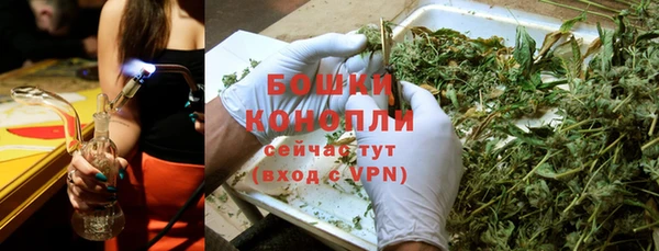 прущие грибы Нягань