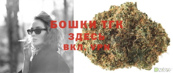 дмт Аркадак